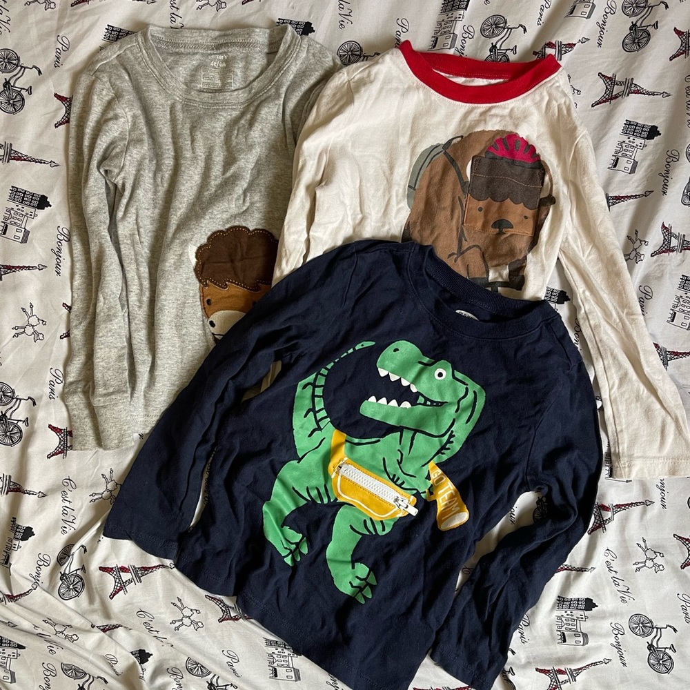 Bundle of 3T Kids Tops